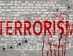 Radical Terrorism: Response of Liberal Democracy