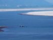 Hydropolitics and its Role in Shaping India-China Relations