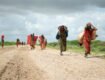 Climate Persuaded Migration: An Impact Study on Environmental Change