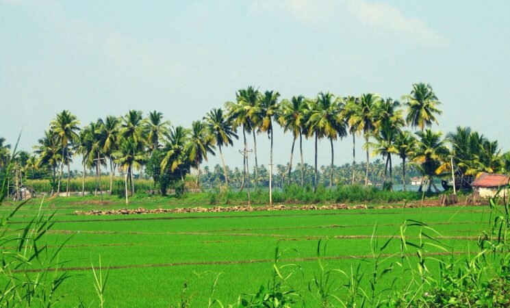 Water and Sustainable Agriculture in Sri Lanka