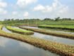 Climate Change: Jeopardizing Human Security in Bangladesh