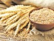 The Russia-Ukraine Conflict’s Cascading Effect on Global Food Security