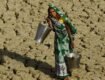 Climate Change: The Great Indian Challenge