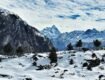 Locating the Crisis of Climate Change and Mental Health from G20 platform: A Case Study of Joshimath, Uttarakhand