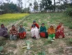 Mitigating the Impacts of Climate Change in Nepal's Terai Region: Sustainable Solutions for a Resilient Future