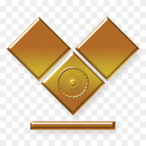 Logo VIF