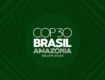 Conference of Parties in the Amazon: Learning from the Past