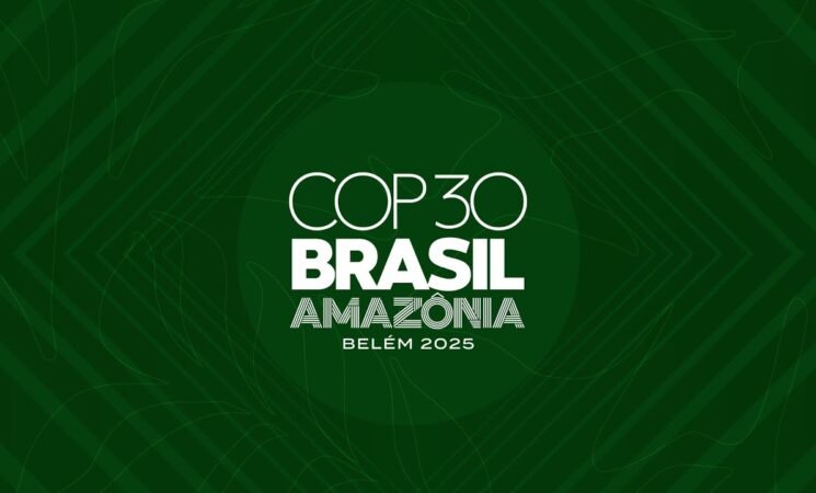 Conference of Parties in the Amazon: Learning from the Past