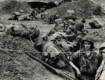 The Futility of War: A Persistent Tragedy