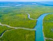 The Sunderbans: Climate Change, Conservation and Displacement 