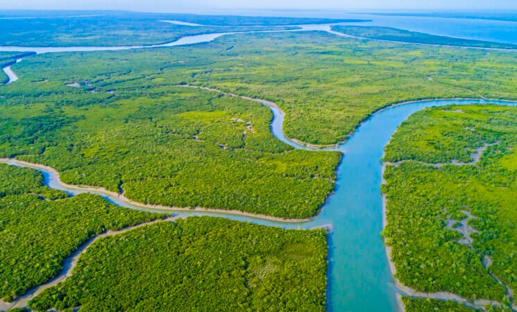The Sunderbans: Climate Change, Conservation and Displacement 