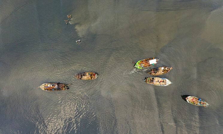 India’s Blue Economy and the South Asian Dilemma: Sustainability or Geopolitics?