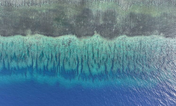 China’s National Nature Reserves in the South China Sea