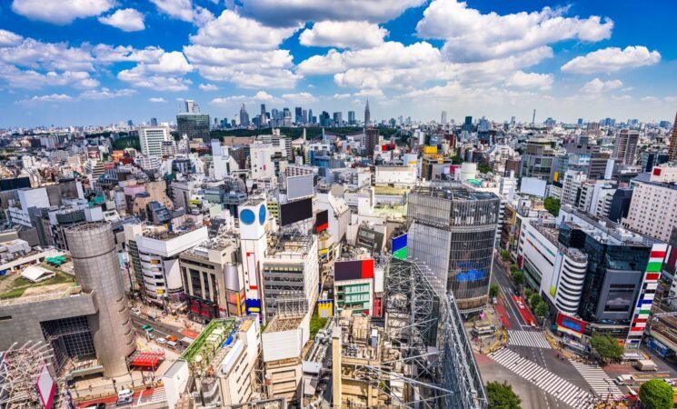 Shared Dream of Development Among South Asian Countries: Integrating the Japanese Methods