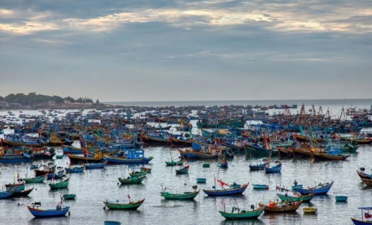 ​The Silent Takeover: How Industrial Fishing Fleets are Redrawing Maritime Borders
